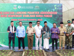 Produksi Cabai Berbasis Greenhouse, Pesantren Agro-Ekosistem Lebak Dilirik Gubernur Banten