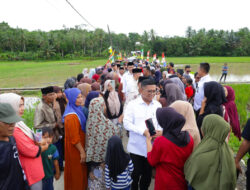 Pemprov Banten Bangun Jalan Desa Luwuk–Grewel di Lebak, Tekan Biaya Angkut Gabah Petani