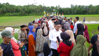 Program Bang Andra bangun jalan desa di Lebak, tekan biaya angkut gabah dan dukung 200 hektare sawah produktif.
