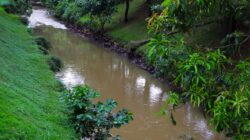 Pasca Kebakaran Gudang Pestisida di Taman Tekno BSD, DLH Tangsel Lakukan Pemantauan Lingkungan