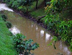 Pasca Kebakaran Gudang Pestisida di Taman Tekno BSD, DLH Tangsel Lakukan Pemantauan Lingkungan