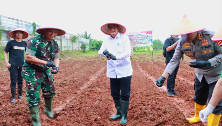 Bupati Tangerang bersama Forkopimda tanam jagung hibrida di Panongan guna memperkuat ketahanan pangan daerah.