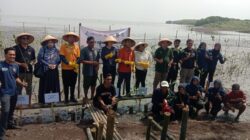 PT BSI tanam 2.000 mangrove di Mauk, Tangerang, lewat program CSR guna pulihkan ekosistem pesisir dan cegah abrasi.