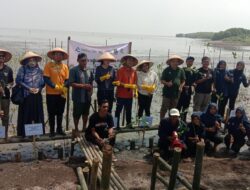 Rayakan 30 Tahun, PT BSI Gelar Aksi Tanam Mangrove di Tangerang