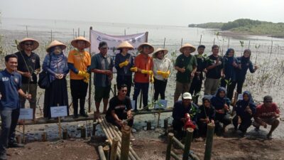 Rayakan 30 Tahun, PT BSI Gelar Aksi Tanam Mangrove di Tangerang