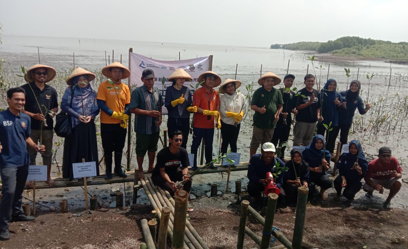 PT BSI tanam 2.000 mangrove di Mauk, Tangerang, lewat program CSR guna pulihkan ekosistem pesisir dan cegah abrasi.