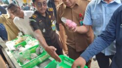 BPOM Tangerang Raya menemukan tahu putih dan mie kuning basah mengandung formalin saat sidak di Pasar Serpong.