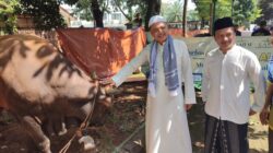 Tanamkan Kepedulian Sejak Dini, Al-Azhar BSD Libatkan Siswa TK hingga SMA dalam Program Kurban