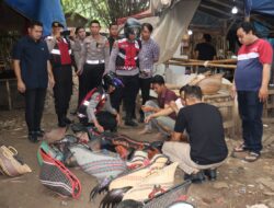Penggerebekan Judi Sabung Ayam di Tangerang, Polisi Sita Ayam Aduan hingga Buku Rekapan