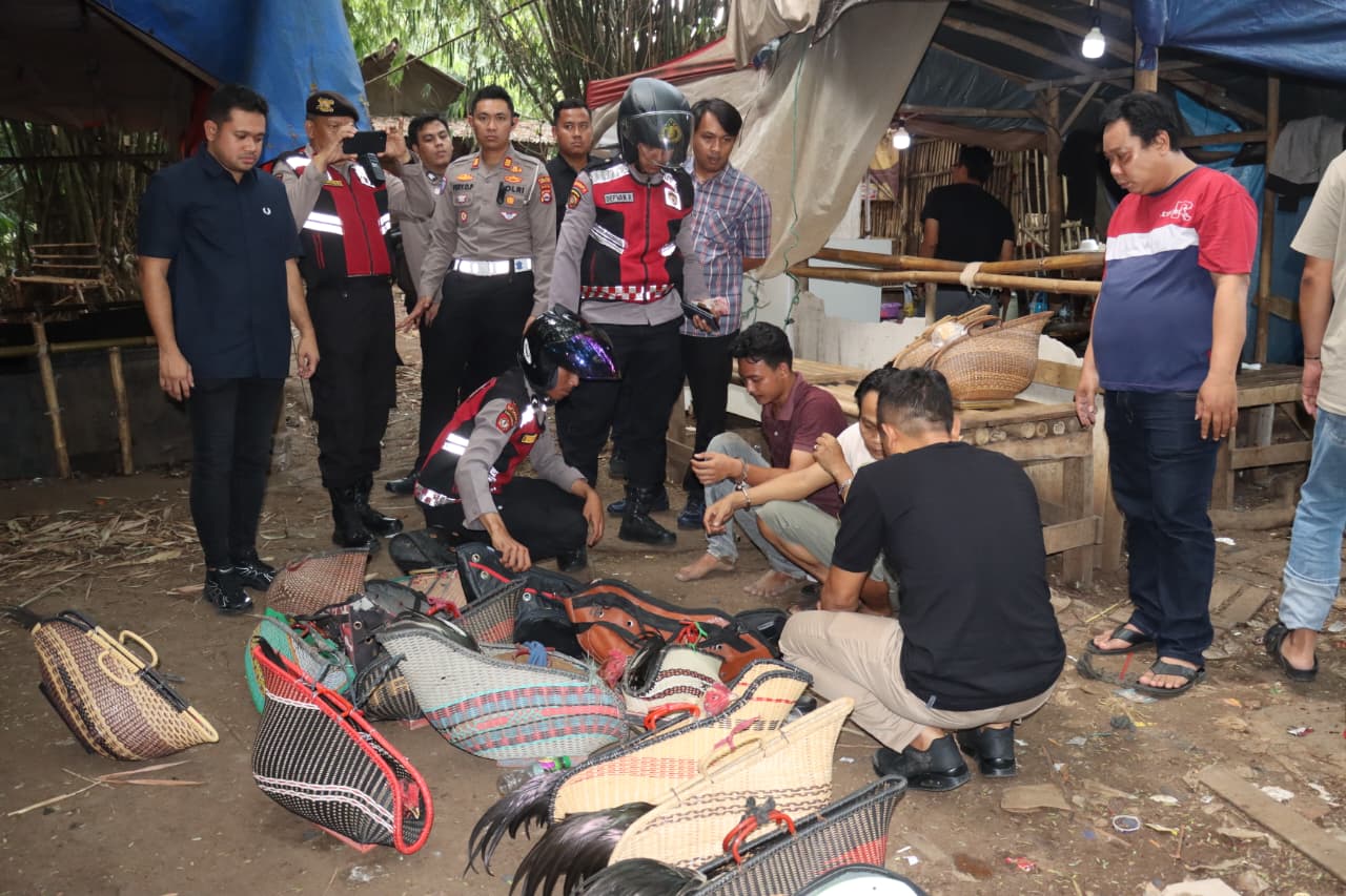 Polisi menyita ayam aduan, buku rekapan, hingga puluhan motor saat menggerebek arena judi sabung ayam di Jayanti.