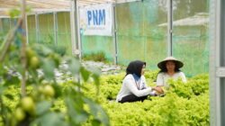 Indonesia Sustainability Award Apresiasi Komitmen ESG dan Pemberdayaan Berkelanjutan PNM