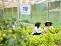 Indonesia Sustainability Award Apresiasi Komitmen ESG dan Pemberdayaan Berkelanjutan PNM