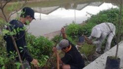 Gerakan Banten Teduh Tangerang Sejuk menargetkan penanaman 1 juta pohon di Tangerang Raya guna mendukung mitigasi iklim dan lingkungan.