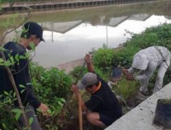 Aksi Hijau di Tangerang Raya, Gerakan Banten Teduh Tangerang Sejuk Kejar Target 1 Juta Pohon