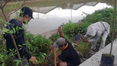 Aksi Hijau di Tangerang Raya, Gerakan Banten Teduh Tangerang Sejuk Kejar Target 1 Juta Pohon