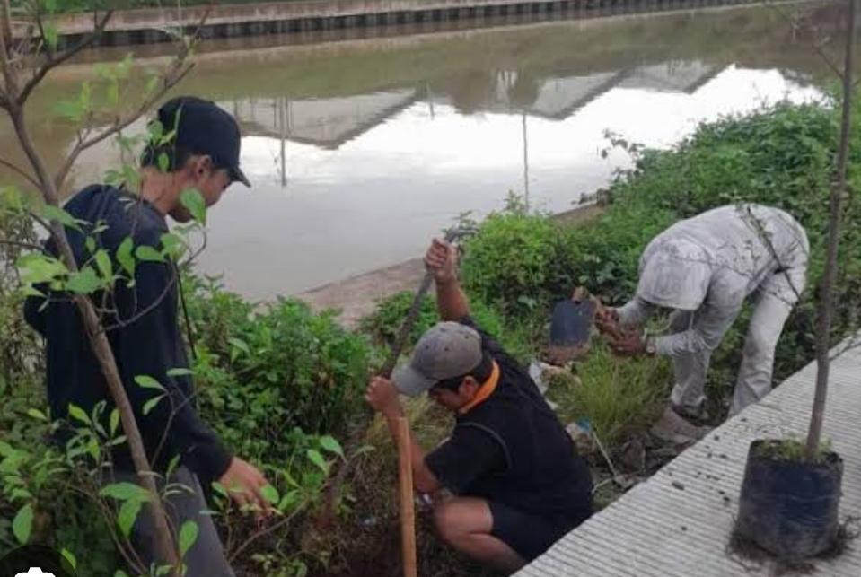 Gerakan Banten Teduh Tangerang Sejuk menargetkan penanaman 1 juta pohon di Tangerang Raya guna mendukung mitigasi iklim dan lingkungan.