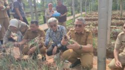 Gunakan Teknologi Arktivate, Demplot Bawang Merah di Tangsel Buktikan Potensi Pertanian Perkotaan