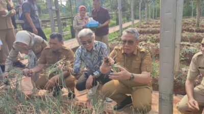Teknologi Arktivate berhasil mendukung budidaya bawang merah di Tangsel dan membuktikan potensi pertanian perkotaan modern.