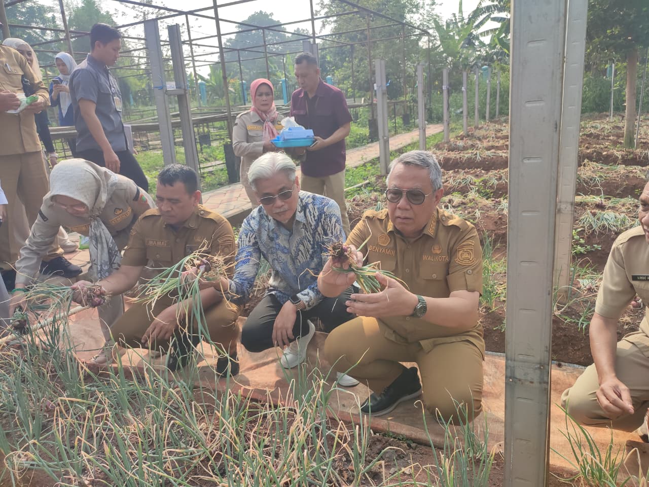 Teknologi Arktivate berhasil mendukung budidaya bawang merah di Tangsel dan membuktikan potensi pertanian perkotaan modern.