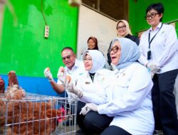 Menteri PPPA dan Kepala BPS Apresiasi Pemberdayaan PNM untuk Usaha Ekonomi Sirkular
