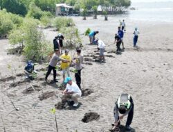 Koalisi Aktivis Lingkungan Tangerang Tanam Ribuan Bibit Mangrove di Teluknaga