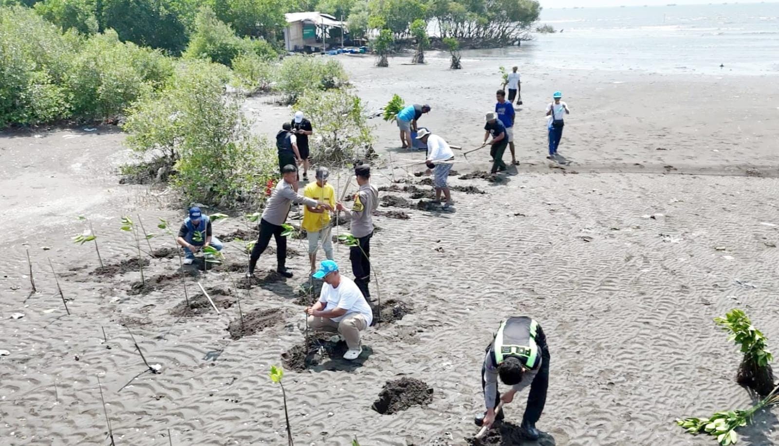 Aktivis lingkungan Tangerang bersama warga dan aparat memperkuat konservasi mangrove demi menjaga ekosistem pesisir utara.