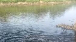 DLHK Banten menemukan titik sumber dugaan pencemaran Sungai Cisadane dan menyiapkan langkah penindakan lanjutan.