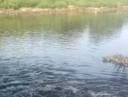 Sungai Cisadane Hitam di Hilir, Pemprov Banten Selidiki Dugaan Pelanggaran Industri