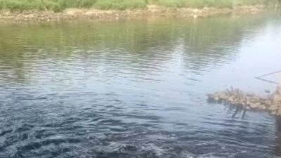 DLHK Banten menemukan titik sumber dugaan pencemaran Sungai Cisadane dan menyiapkan langkah penindakan lanjutan.