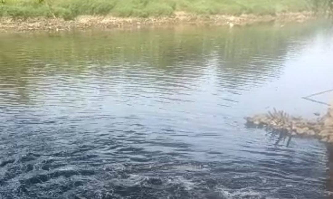 DLHK Banten menemukan titik sumber dugaan pencemaran Sungai Cisadane dan menyiapkan langkah penindakan lanjutan.