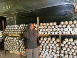 Tak Ingin Jamur Terbuang, Ibu Astuti Justru Bangun Usaha hingga Pimpin Bank Sampah