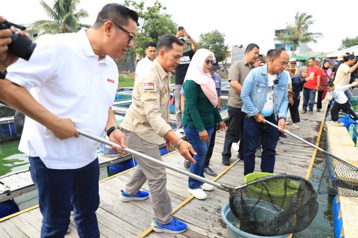 Panen raya ikan patin di Kota Tangerang dorong penguatan ekonomi masyarakat sekaligus mendukung ketahanan pangan daerah.