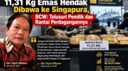 BCW meminta Bea Cukai menelusuri asal, pemilik, hingga penerima 11,31 kg emas yang hendak dibawa delapan penumpang ke Singapura.