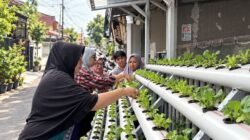 PNM Sulap Lorong Kota Menjadi Sumber Pangan Lewat Program Agro Urban Madani