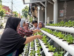 PNM Sulap Lorong Kota Menjadi Sumber Pangan Lewat Program Agro Urban Madani