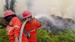 MUI mengajak umat Islam melaksanakan salat Istisqa dan memperkuat upaya pencegahan karhutla demi menjaga lingkungan serta keselamatan jiwa.
