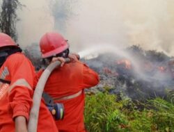 MUI Tegaskan Pembakaran Hutan dan Lahan Hukumnya Haram