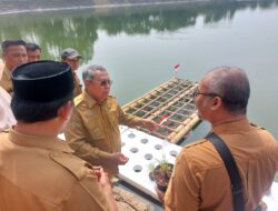 Padi Apung Jadi Alternatif Pertanian Perkotaan, Pemkot Tangsel Hitung Potensi Ekonominya