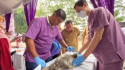 Pemkab Tangerang Targetkan 400 Hewan Terlayani dalam Vaksinasi Rabies Gratis