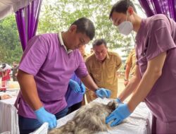 Pemkab Tangerang Targetkan 400 Hewan Terlayani dalam Vaksinasi Rabies Gratis