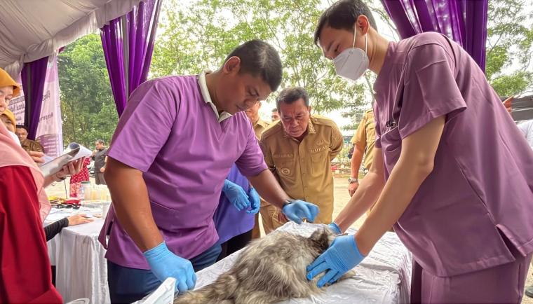Pemkab Tangerang menargetkan 400 hewan terlayani dalam program vaksinasi rabies gratis untuk mendukung pencegahan rabies.
